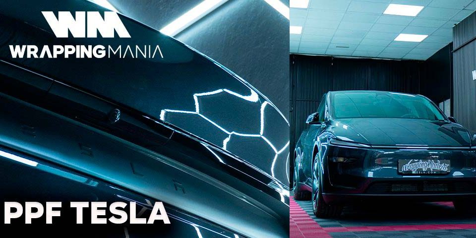 Cabecera PPF Tesla protección de pintura